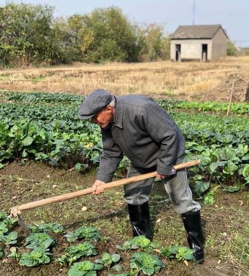 治疗手抖最好的医院是哪？你知道挂什么科吗