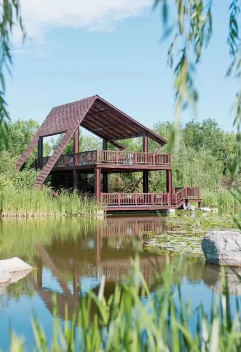 天津冬季遛娃,天津遛娃的免费公园