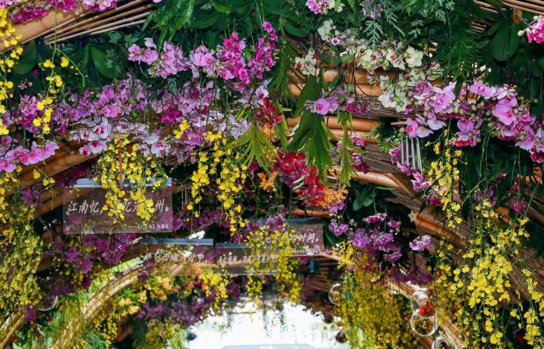 杭州莫奈花园公园,杭州莫奈花园攻略