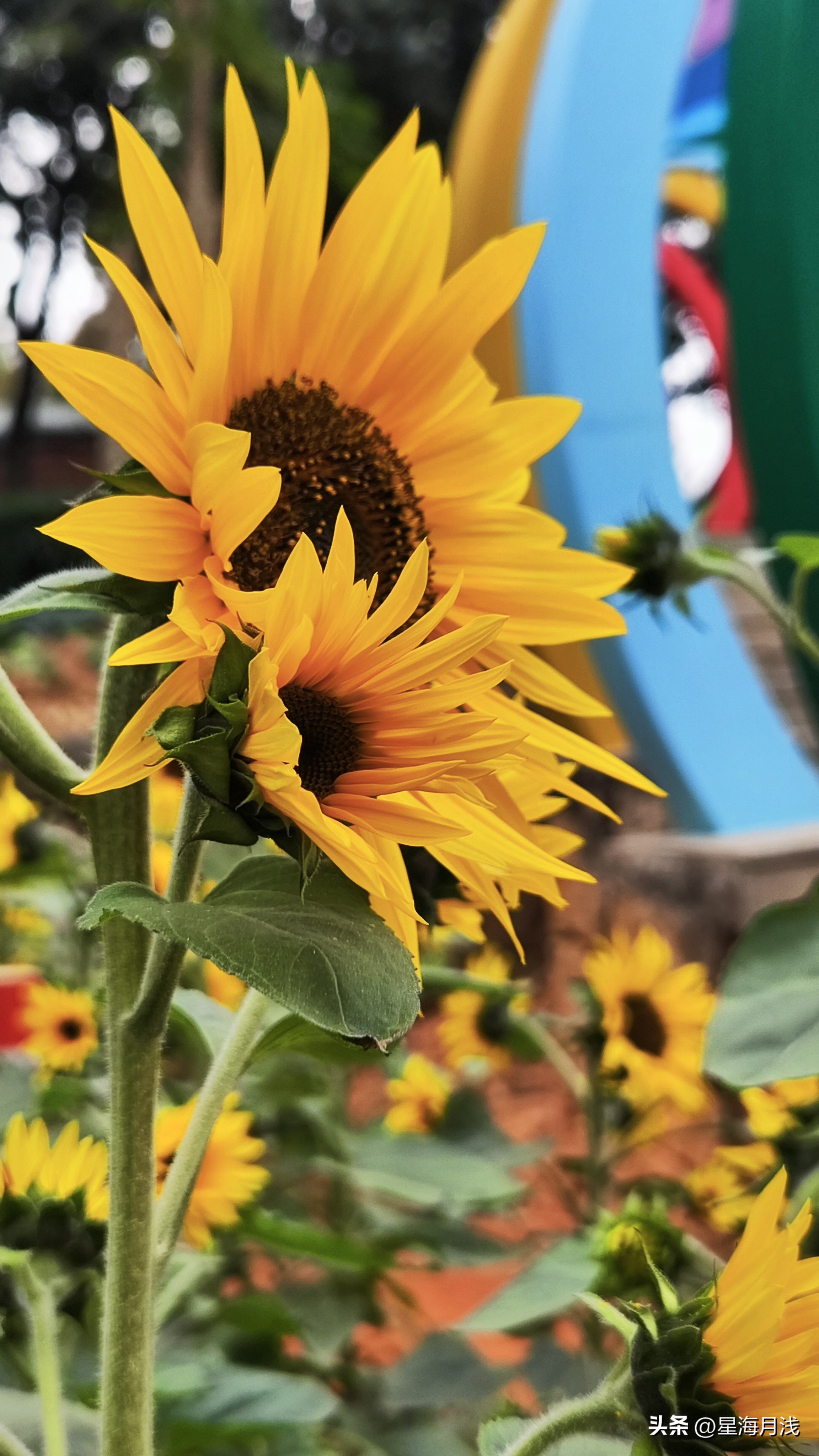 带你玩遍广州所有的儿童公园,广州免费公园遛娃好去处