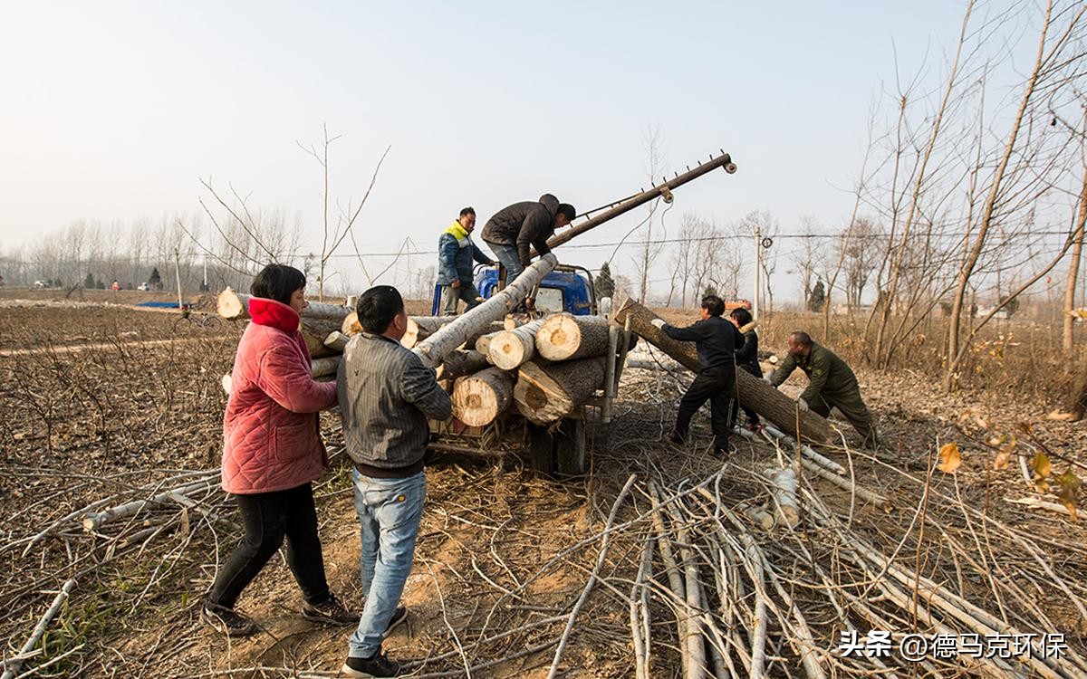 当下最适合农村创业的生意,农民也能成功