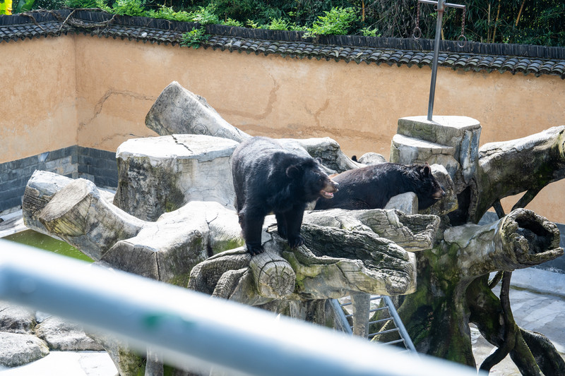 安吉中南百草园二天一夜攻略,安吉中南百草原刺激游乐项目