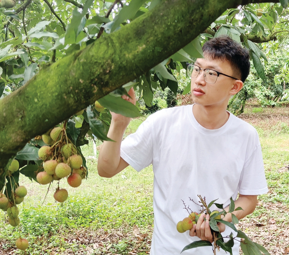 90后大学生创业故事白手起家,90后大学生的创业故事