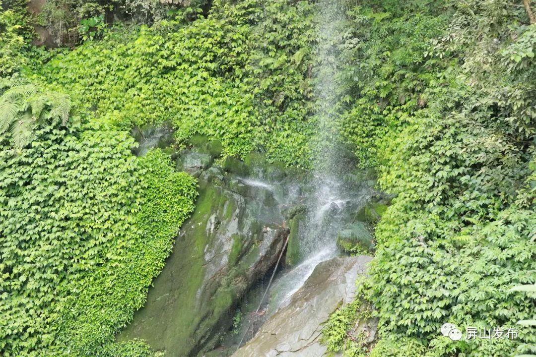 记者带你看民宿,记者带您云游老君山