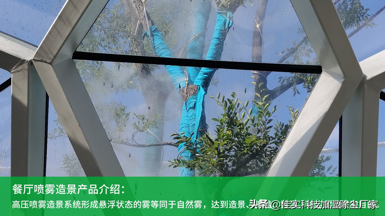 餐厅死角造景效果,生态餐厅景观效果图