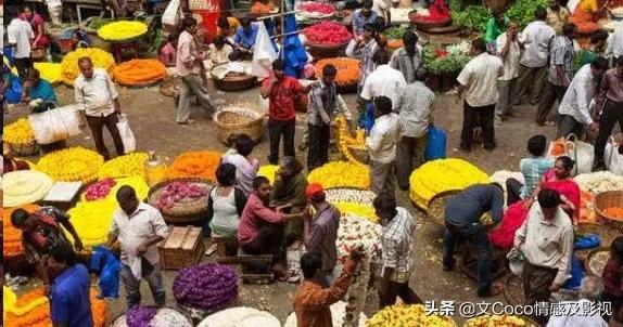“颠覆”你“认知”的非洲市场，生猛海鲜超便宜
