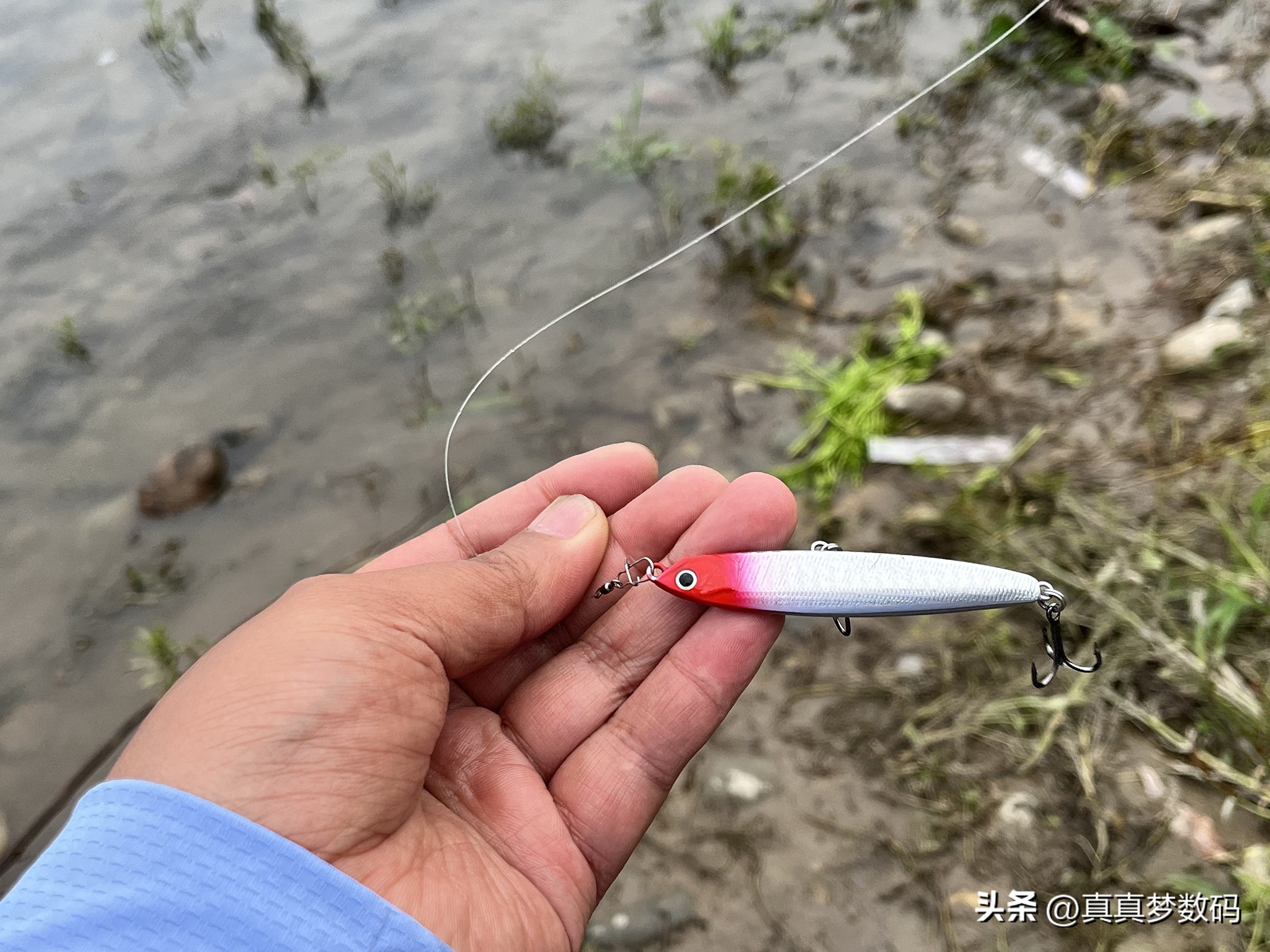 新手路亚要从微物练吗,路亚新手装备泛用竿