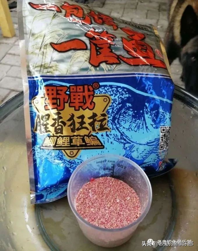 封竿数日再战板鲫，不负好*光春**