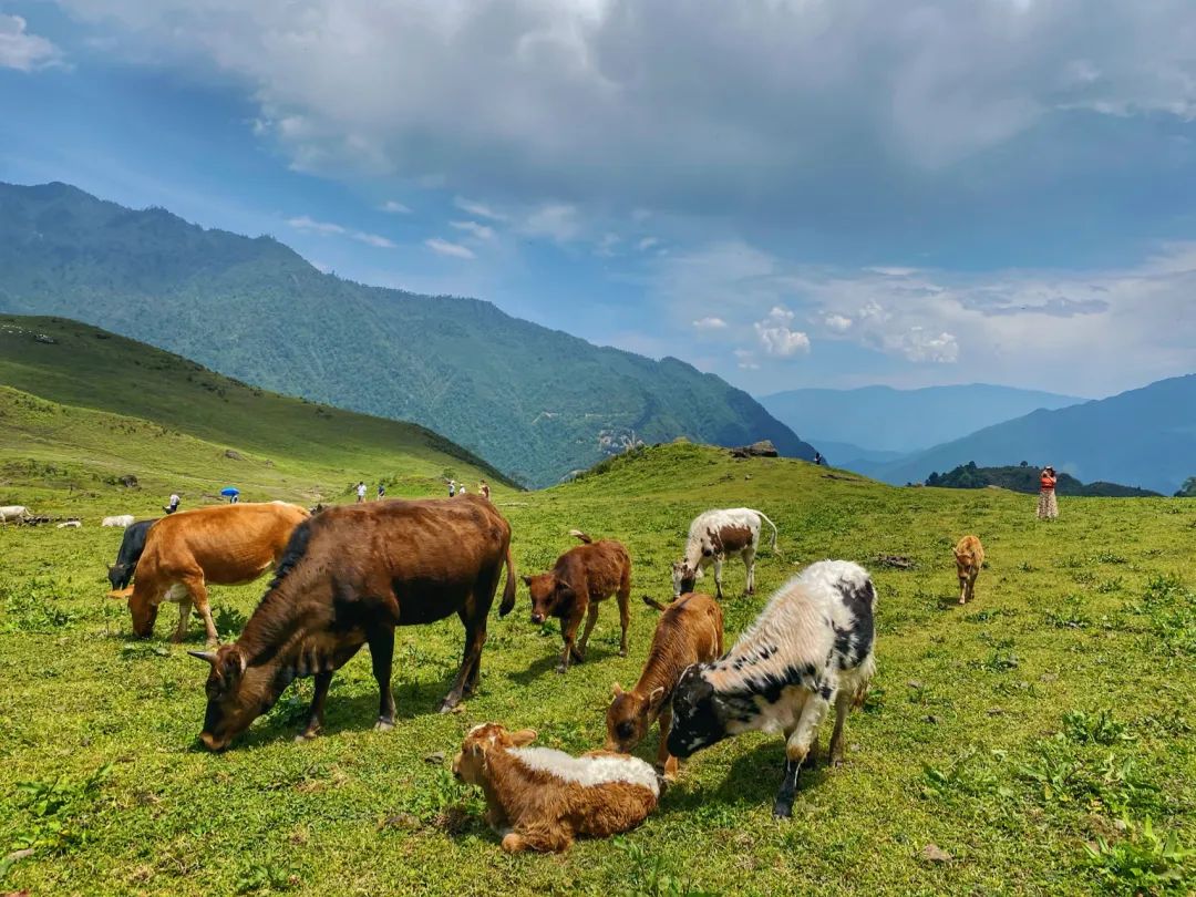 比成都好吃的火锅店,这座小城比杭州撩人美食不输潮汕