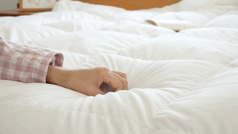 花1000多买被子,花1000买蚕丝被值不值