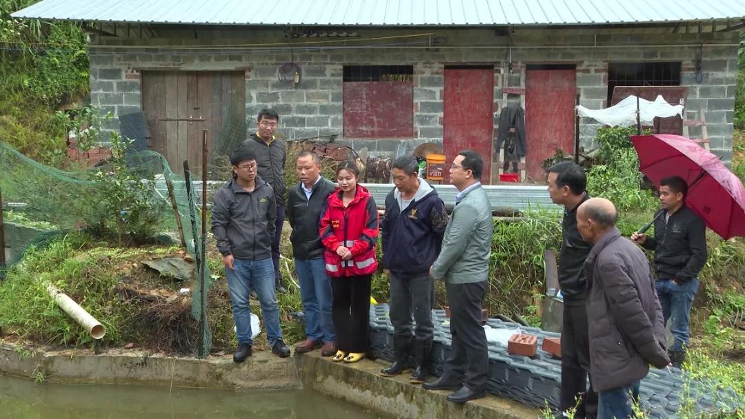 高山溪流冷水鱼怎么钓,山区冷水鱼养殖技术