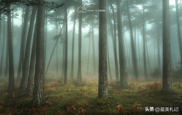 挪威的森林：爱与孤独的迷思，青春探索与人生意义的探寻