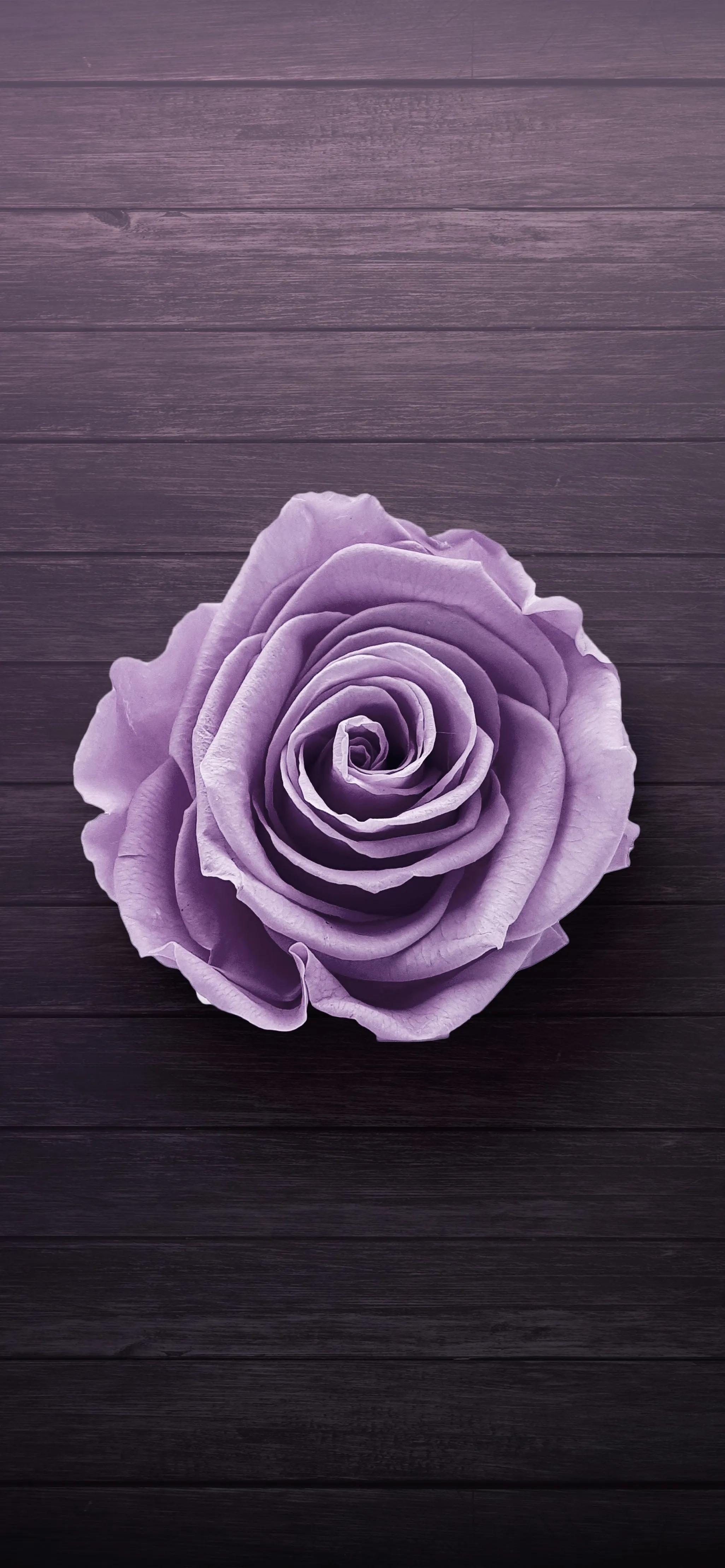 手机壁纸每一张与每一张不一样,手机壁纸各种风格