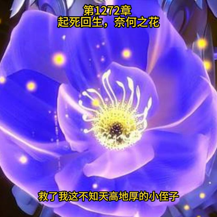 宠魅漫画在哪看,魅宠漫画