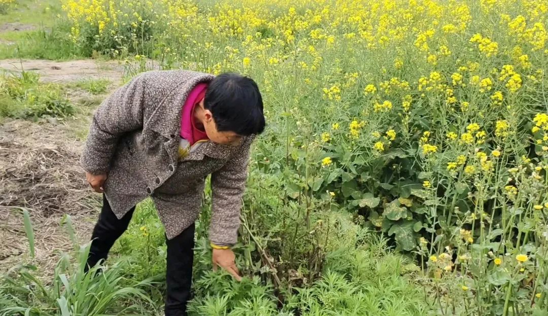 古代现代，古人今人，都只是长江做过的梦，来来去去丨周末读诗