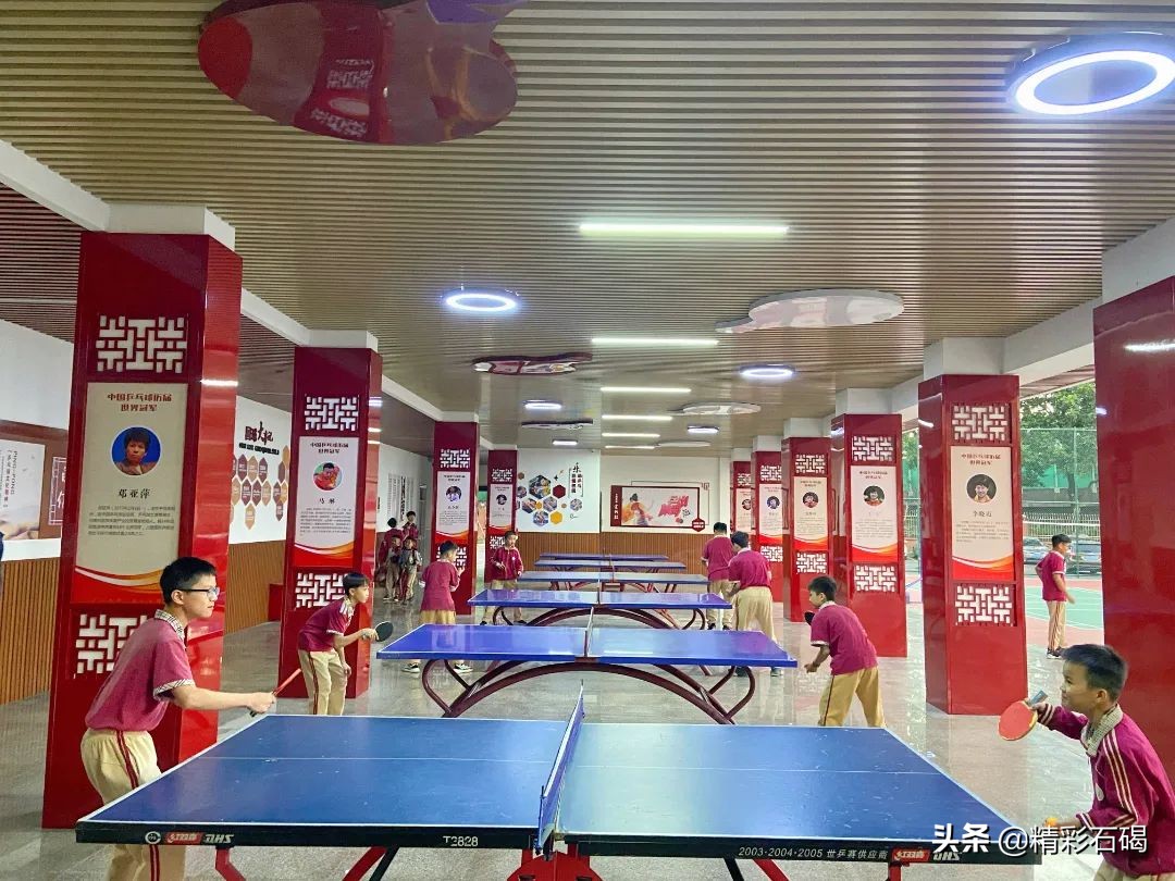 选择石碣四海，成就孩子未来