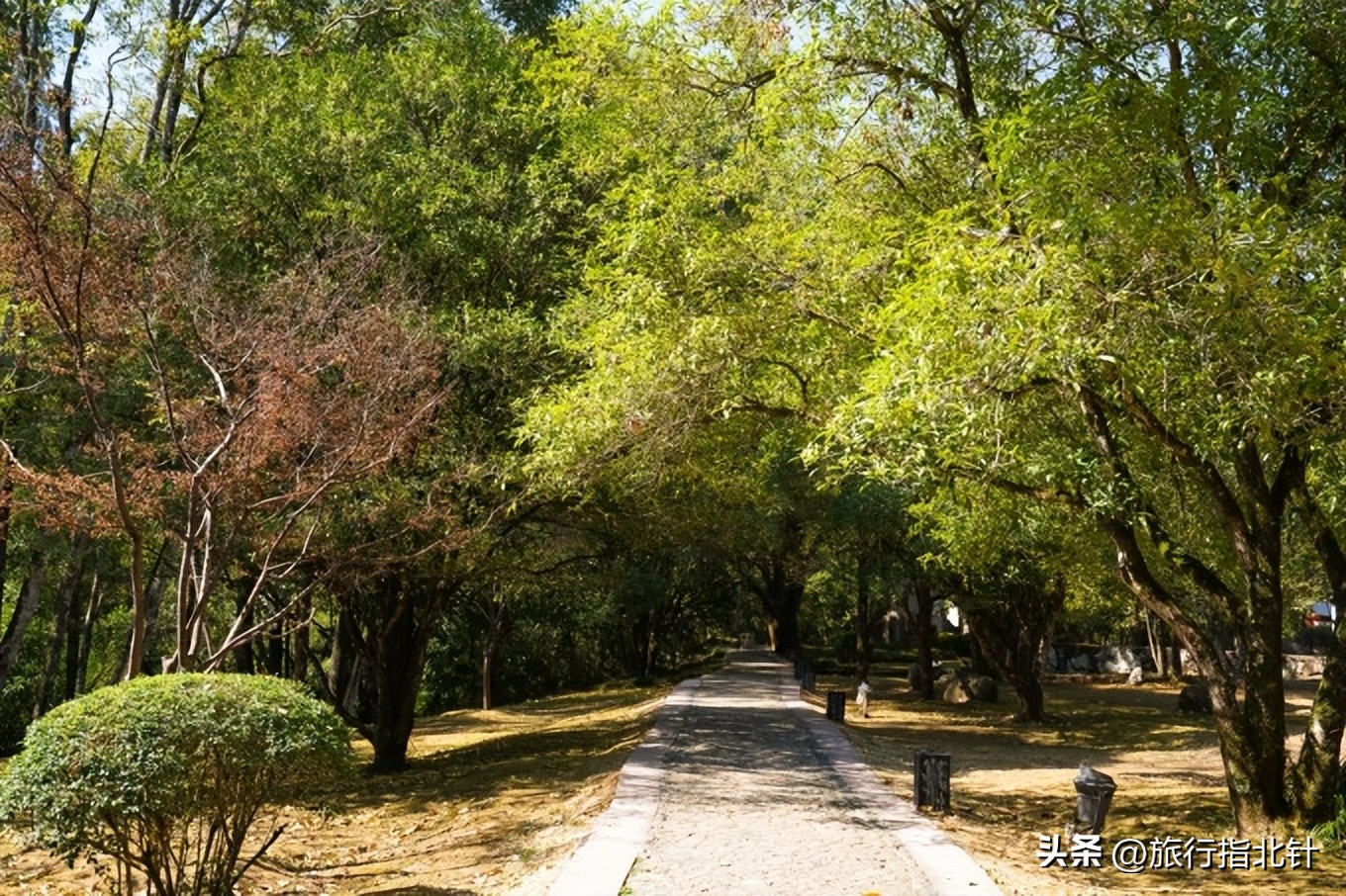 福建旅游攻略武夷山,福建武夷山旅游攻略一日游