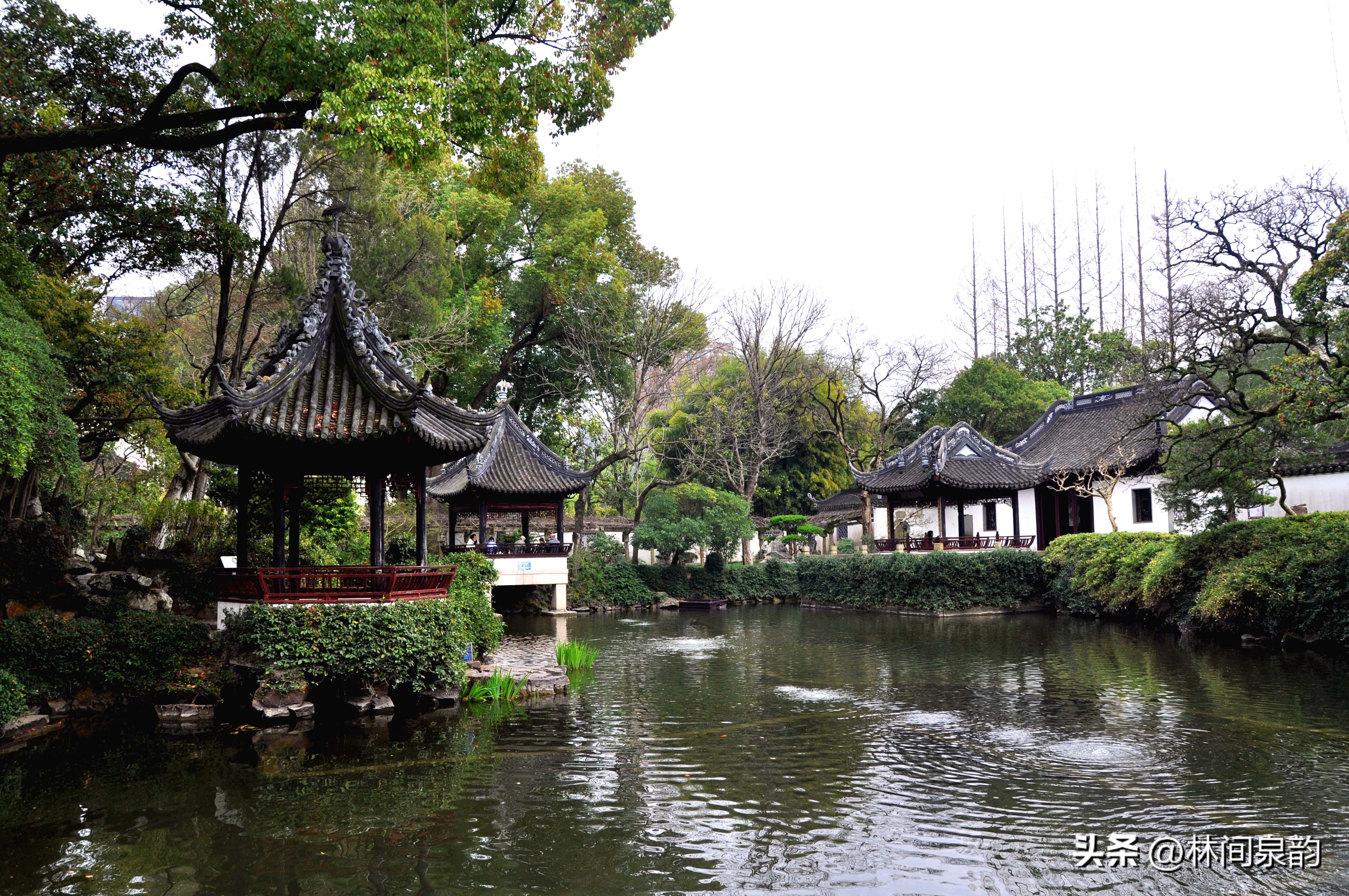 曲水园简介和历史,中国四大名园之首的拙政园