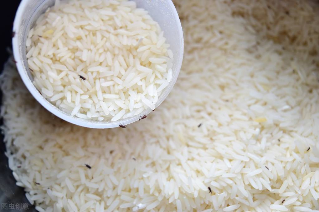 已经生虫的大米怎么去除米虫,大米生虫怎样放不生虫