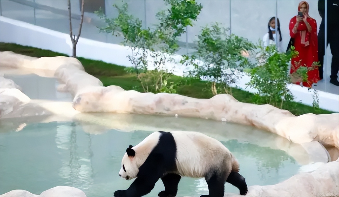 世界杯裁判马宁安排表最新,中国顶级裁判马宁