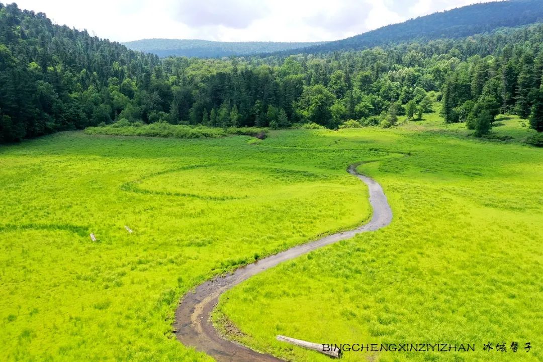 火山口国家森林公园与地下森林,清凉度夏探秘地下森林