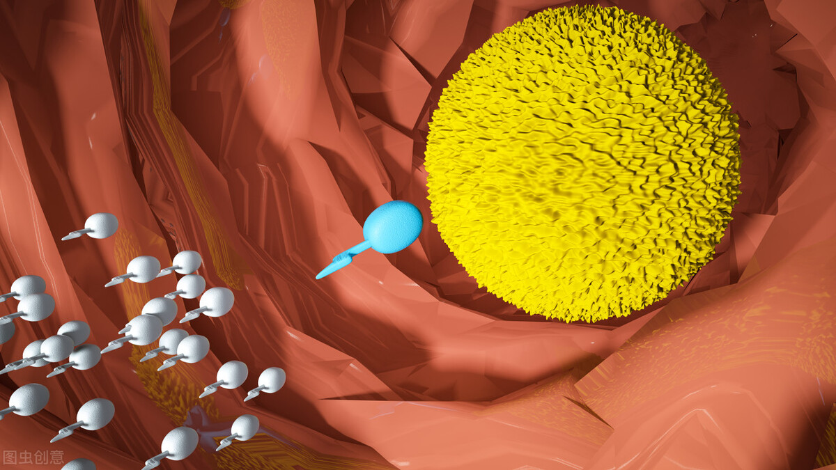 受精卵着床后几天有反应？如果有这几种“信号”，你就是怀孕了
