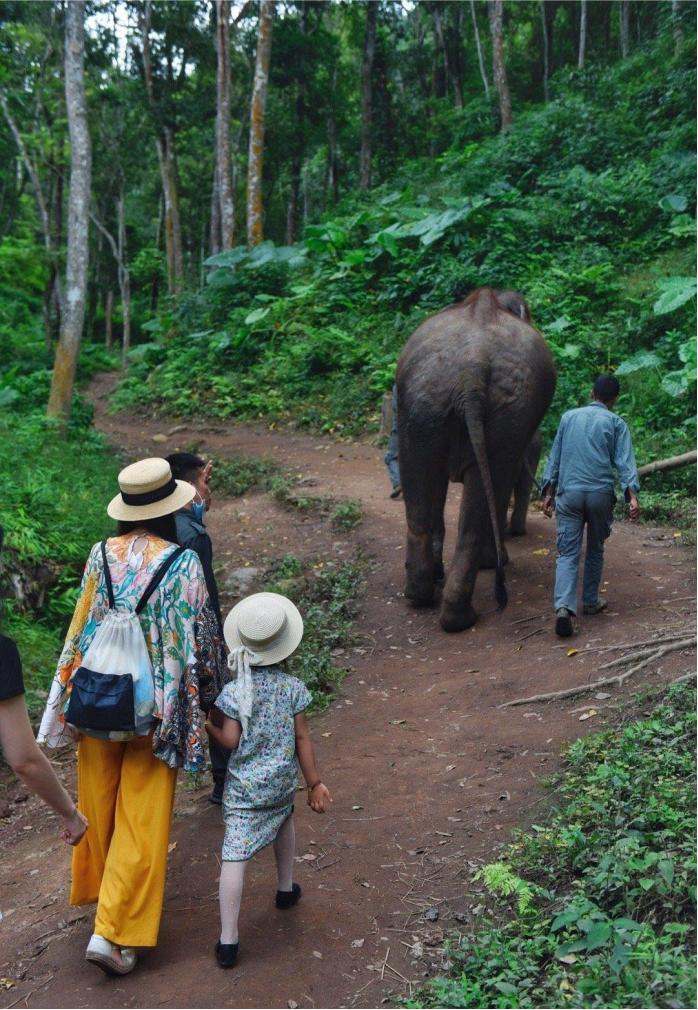 东南亚风情版纳攻略,西双版纳东南亚游