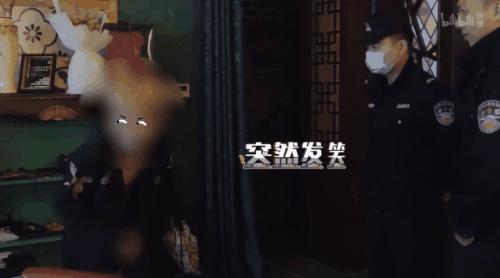 最近新出的真人秀综艺,新出的真人秀综艺