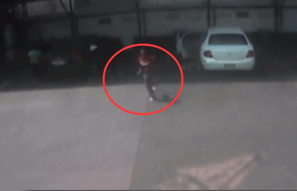 美国杀人案监控,美国枪杀事件真实视频