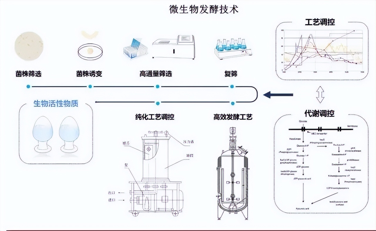 全球瞩目!看发酵技术如何“酵”醒化妆品原料创新?|明·趋势