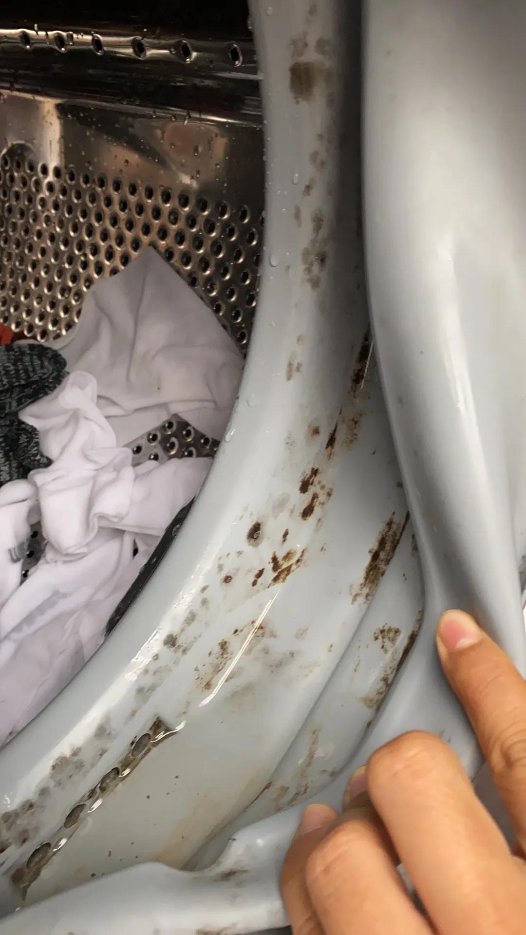 滚筒洗衣机胶圈发霉怎样去除,洗衣机哪个品牌胶圈不会发霉