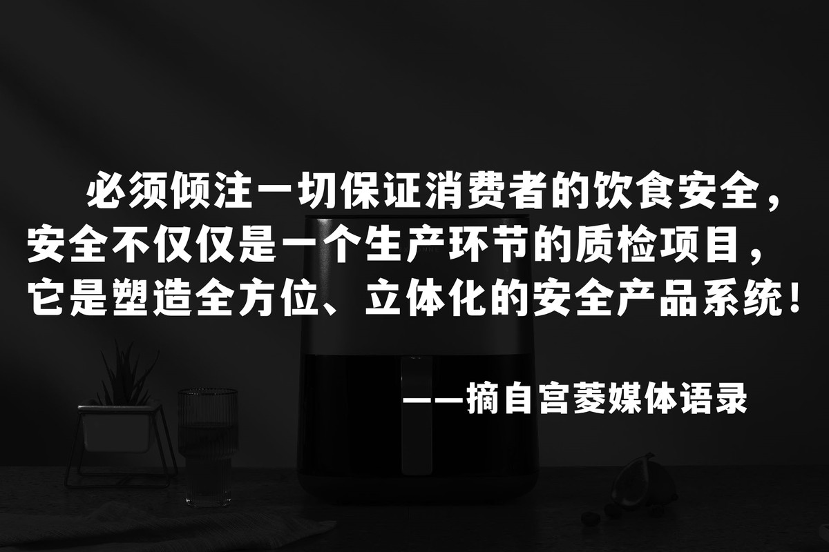 空气炸锅哪一款好排名前十,目前口碑最好的空气炸锅品牌排名