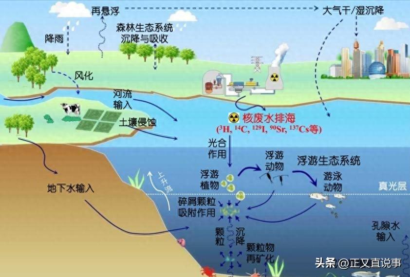 日本预知未来的十五个预言,预言家预言日本能放核污染水吗