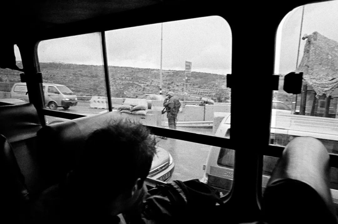 高磊绽放青春,高磊临朐