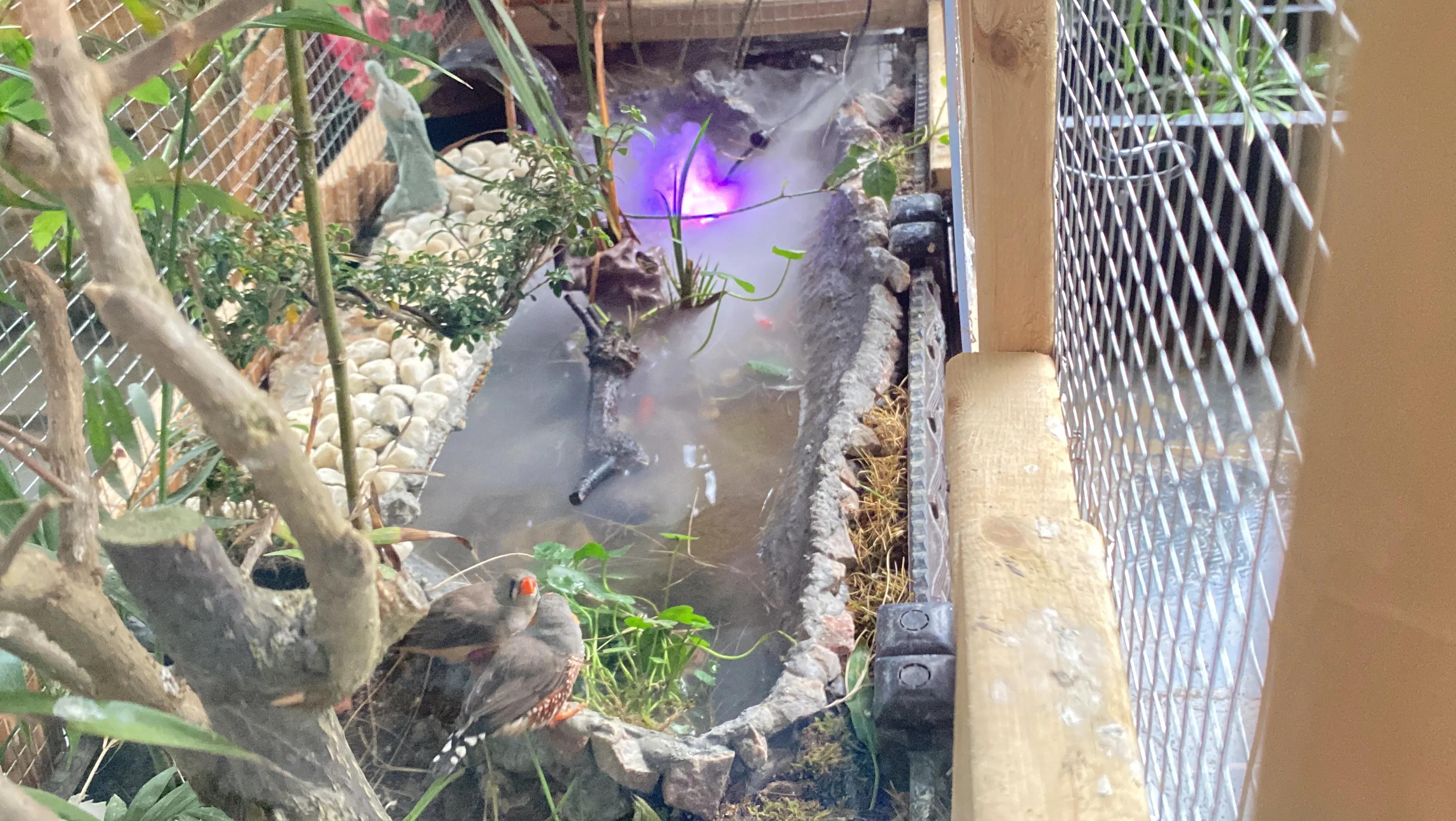 如何打造一个四季有景的庭院花园,如何打造一个四季花开的庭院