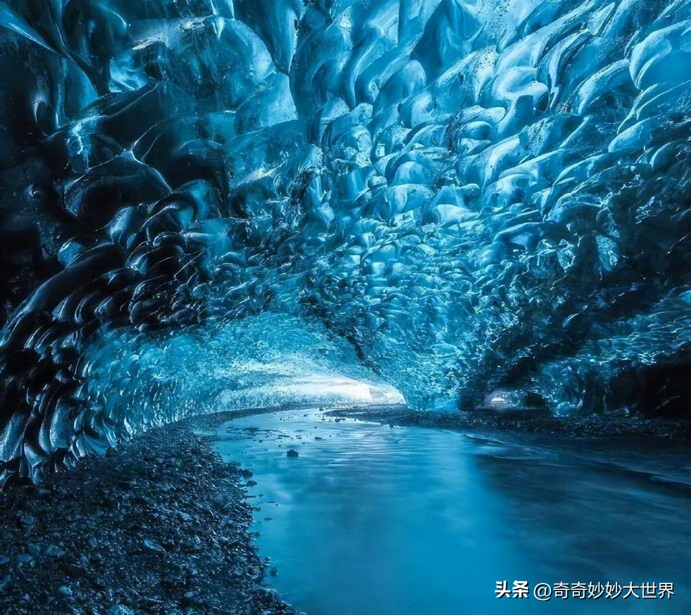 28张图看世界，欧洲贵妇的小便神器，在挪威“当官”的企鹅