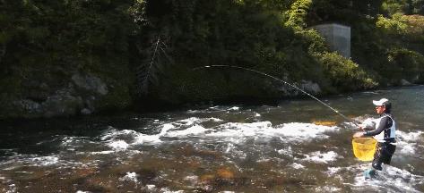 渔具产品了解,渔具品牌知识大全