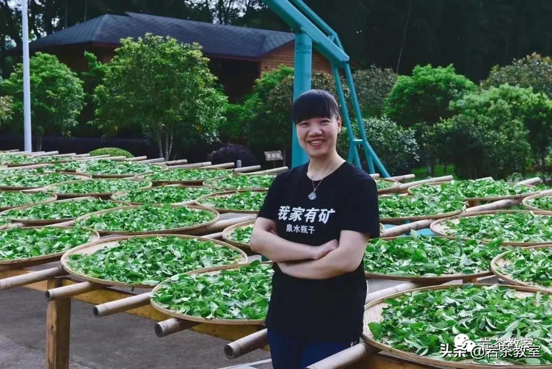 水金龟北斗武夷岩茶,水金龟武夷岩茶简介