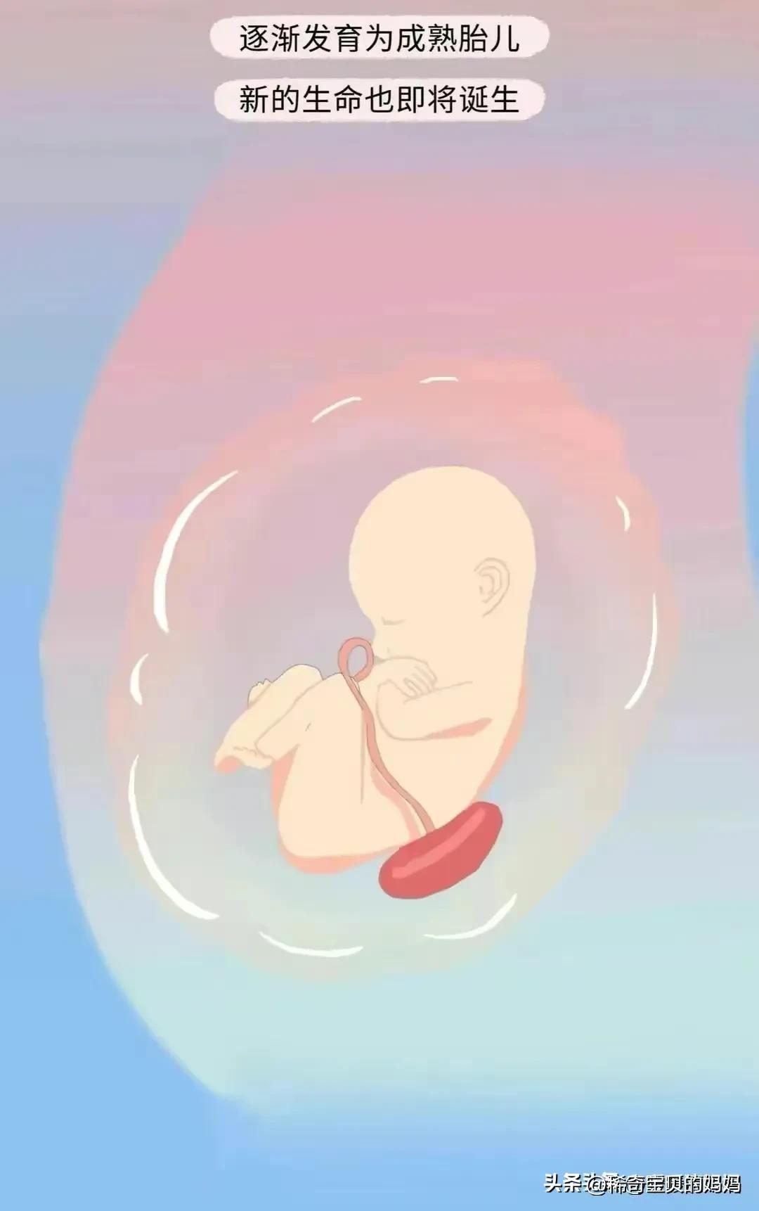 男生的“精子”进入女生体内，会发生怎样的变化？