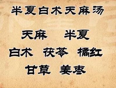 眩晕，头痛头昏，健忘，痰蒙清窍，六味药，燥湿化痰，平肝熄风。