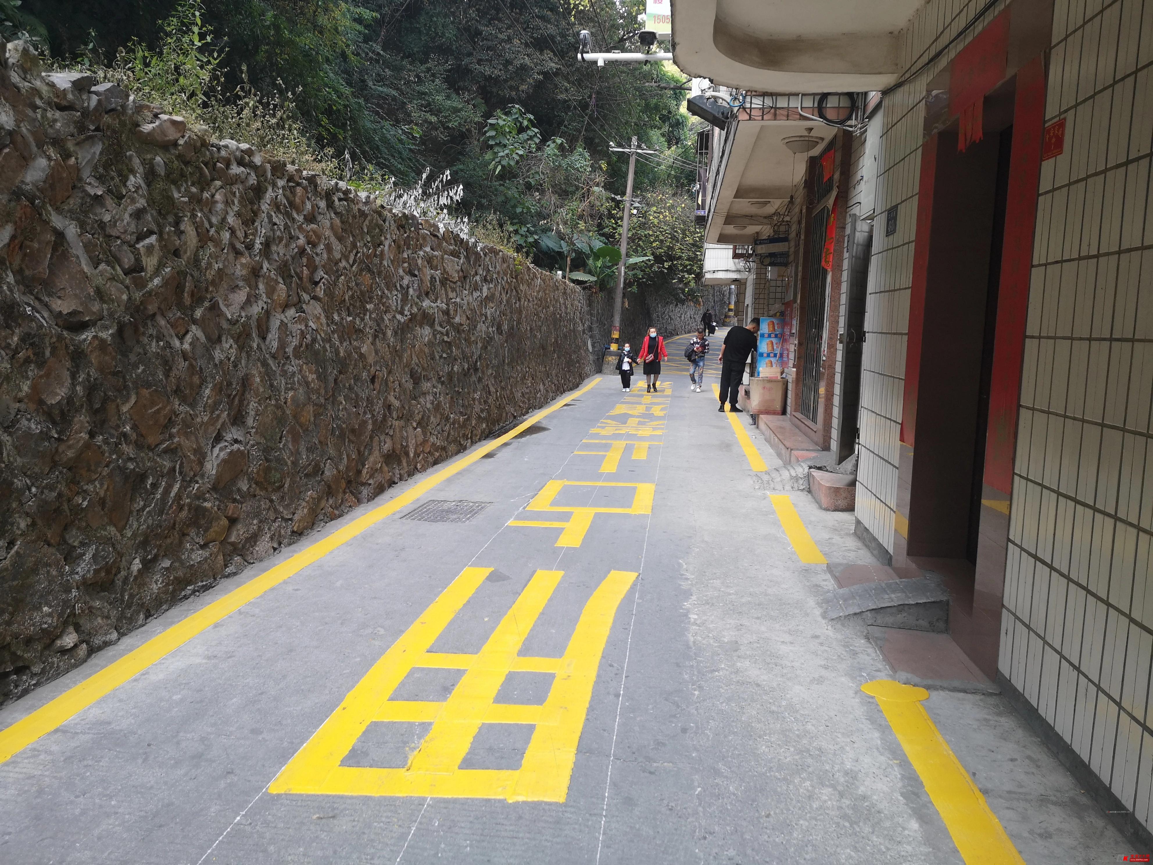 榫欏博娑堥槻鐢熷懡閫氶亾,榫欏博娑堥槻閫氶亾