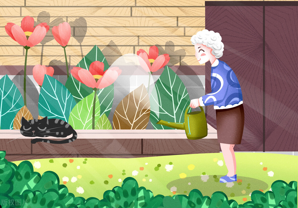 老年人盆腔脱垂怎么办,老人盆腔脏器脱垂康复训练方法