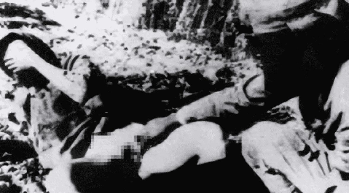 鏃ユ湰渚靛崕鍏借鐓х墖,鏃ュ啗渚靛崕鍏借