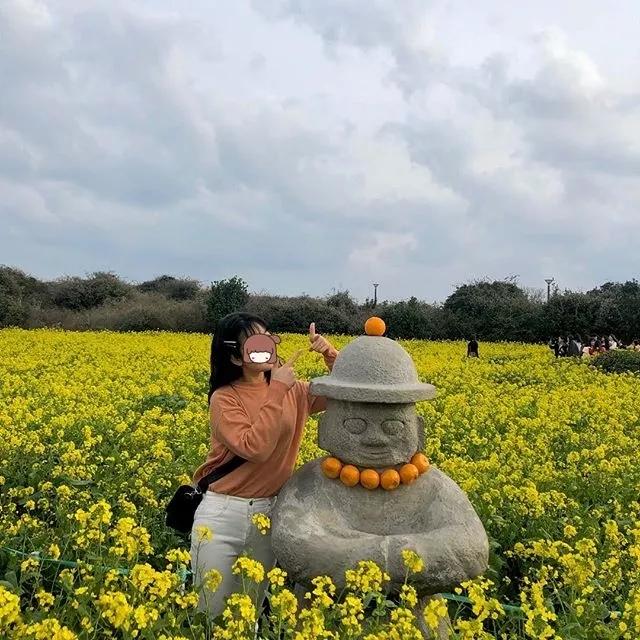 韩国花田美景图,韩国最美花海