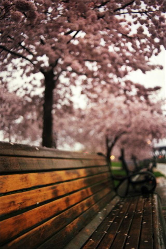 慢赏人生的风景散文,人生最好的风景散文