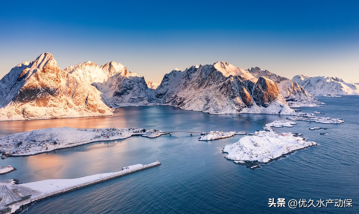 @养殖户：小雪已至，这些水产病害千万不能忽视