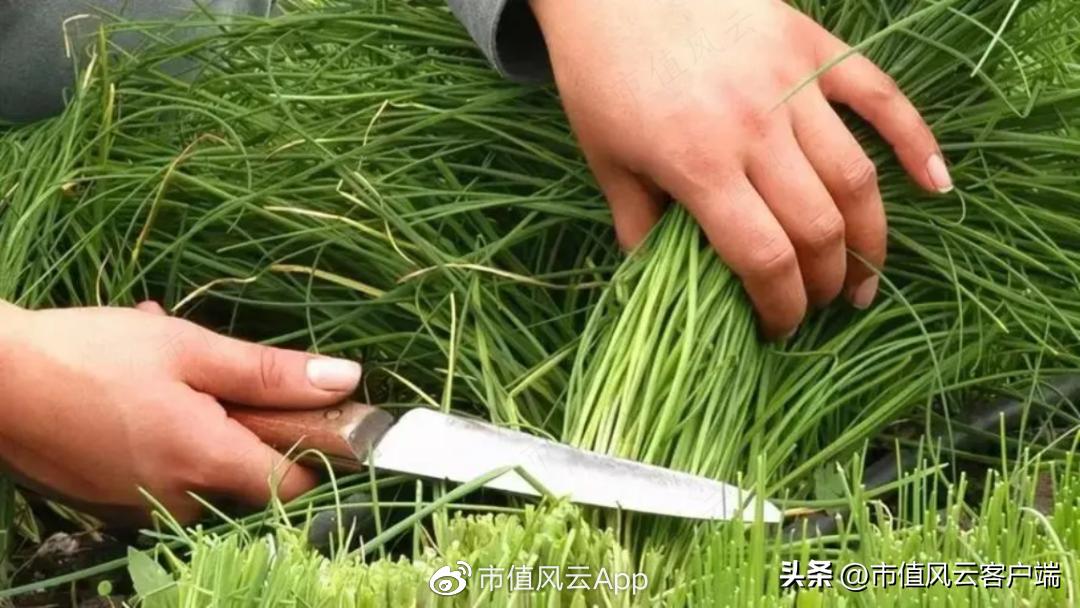 徐翔这么厉害为什么还要做私募,徐翔是怎么演朱元璋的