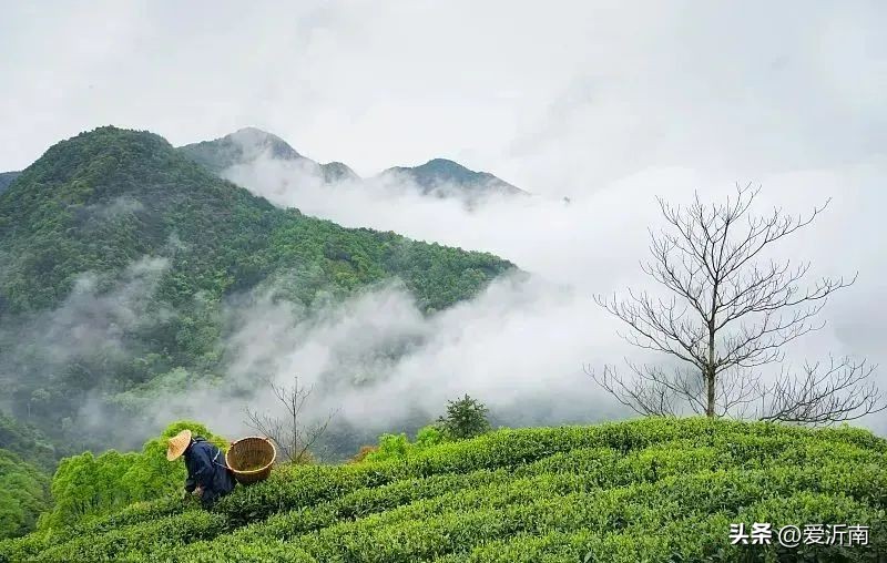100个描写天气的词语,20个描写天气的雅称