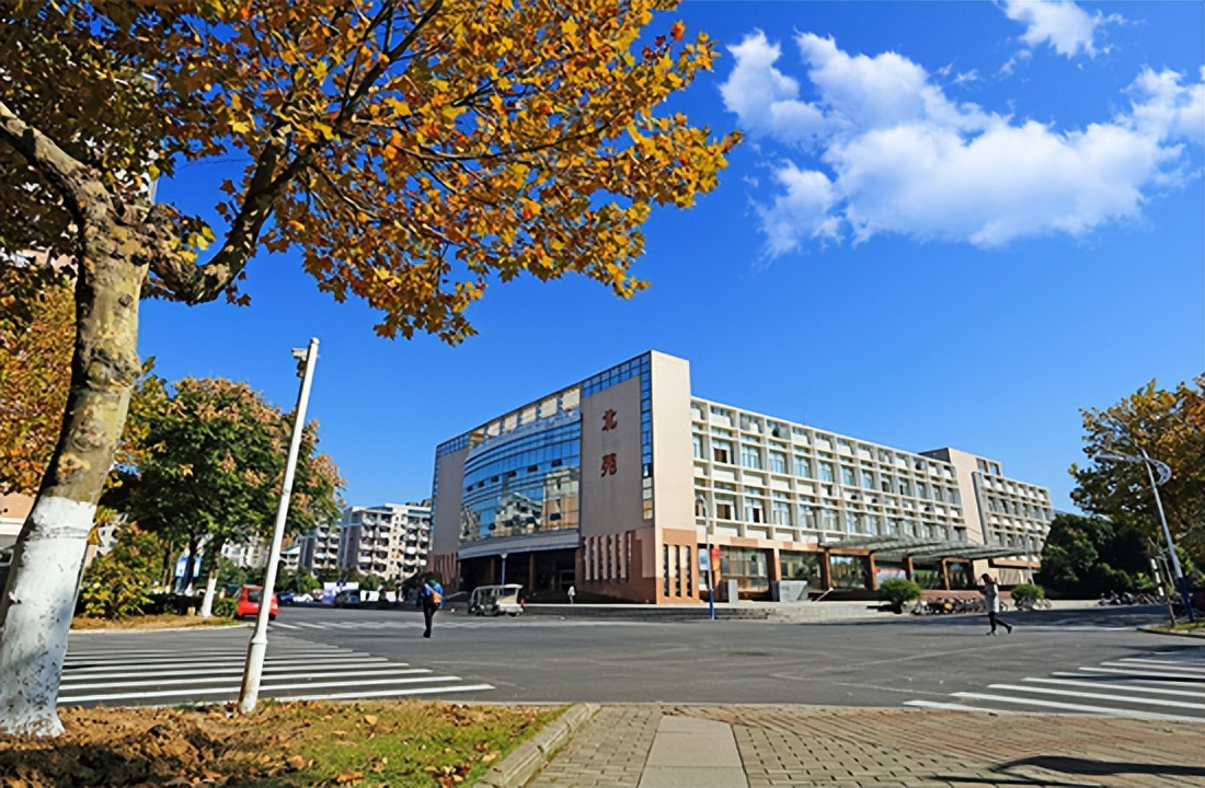 e租宝丁宁年薪百万,e租宝丁宁被捕视频