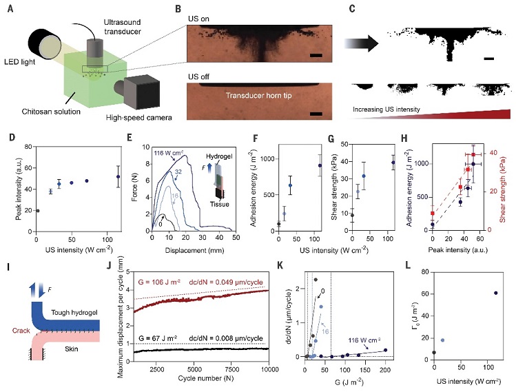 生物粘附水凝胶,水凝胶science
